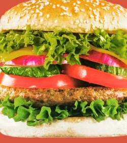 40 HAMBURGUESAS GIGANTES SWIFT 100% CARNE X 106 GR + PANES FARGO + ADEREZO